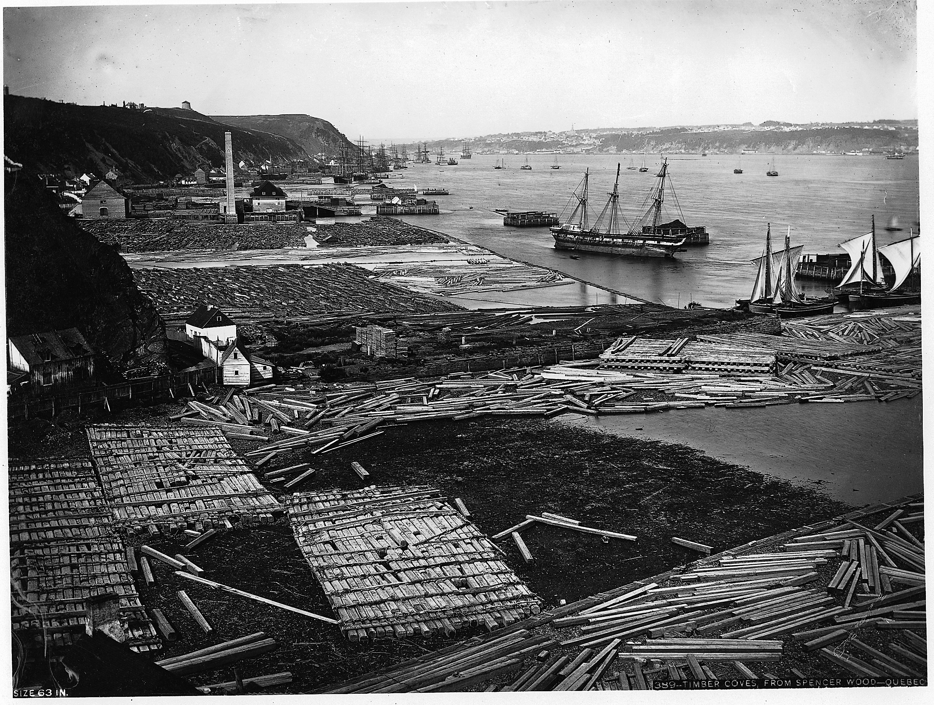 Logs pilled on the shore ; sailing boats in background.