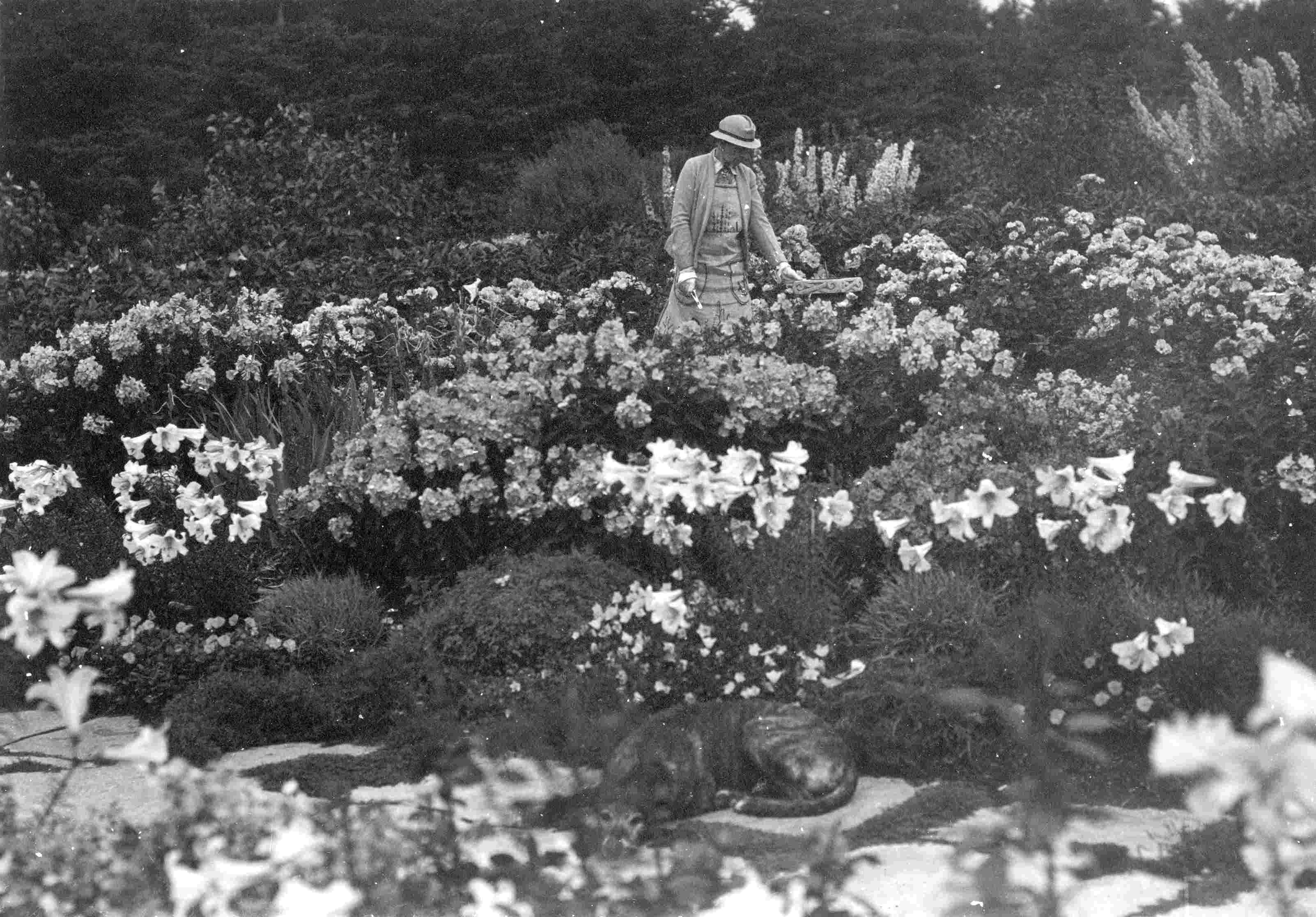 A woman trimming plants in a flower garden with a dog sleeping on a flagstone in the foreground.
