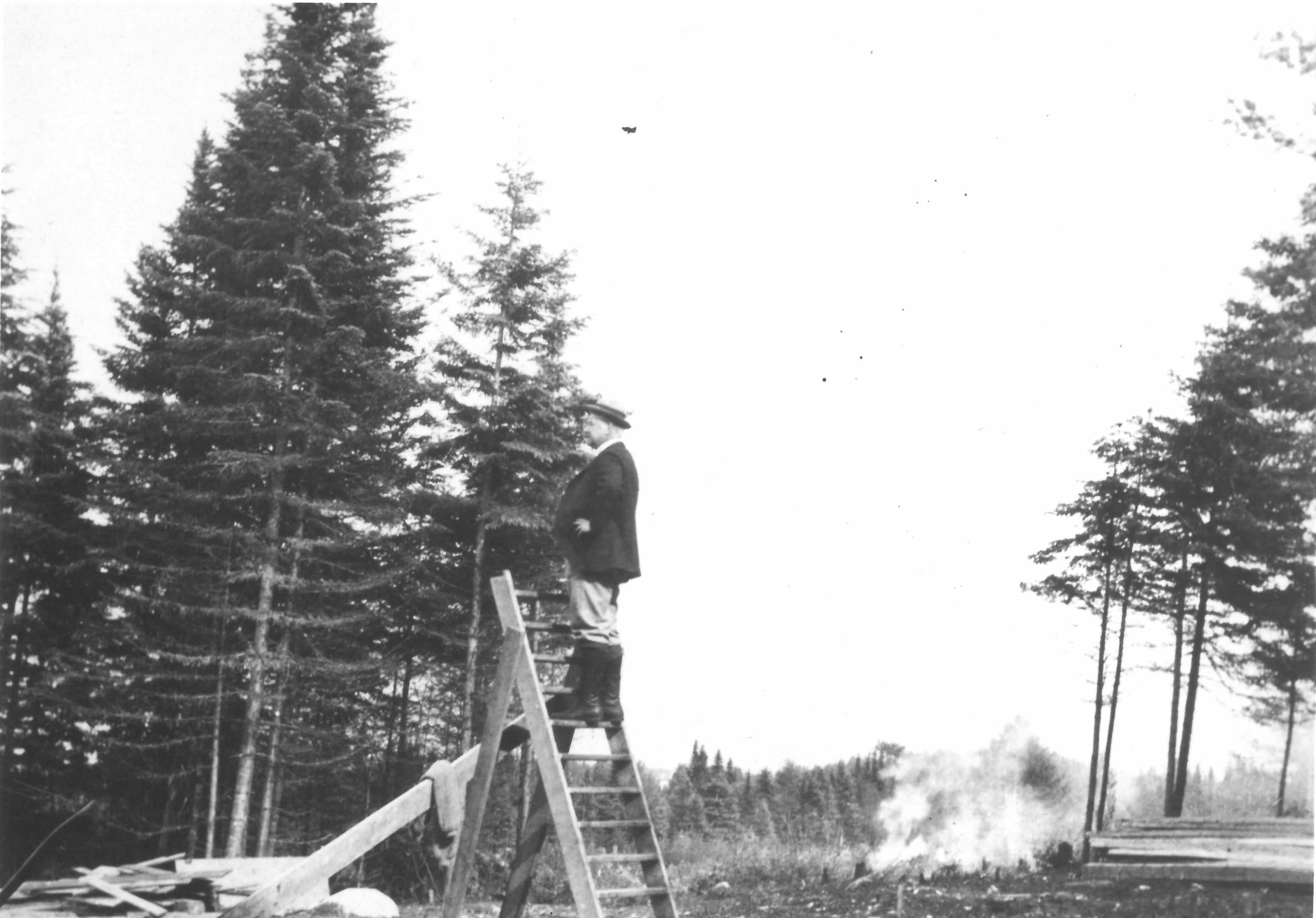 A man climbing a stepladder in the middle of a cleared lot, with branches burning in the background.