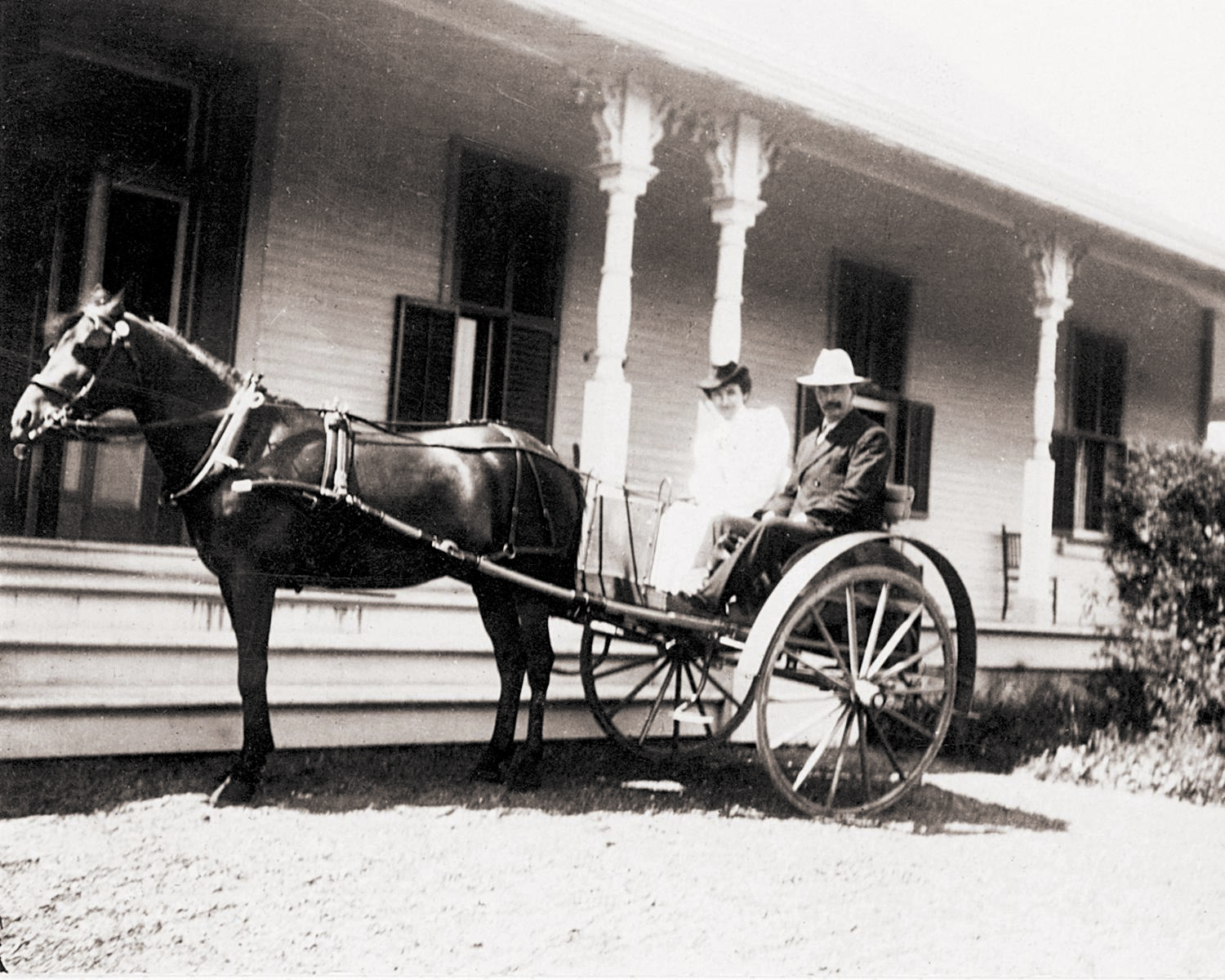 Un homme et une femme sont assis dans une voiture à deux roues tirée par un cheval, devant la galerie d’un grand bâtiment.