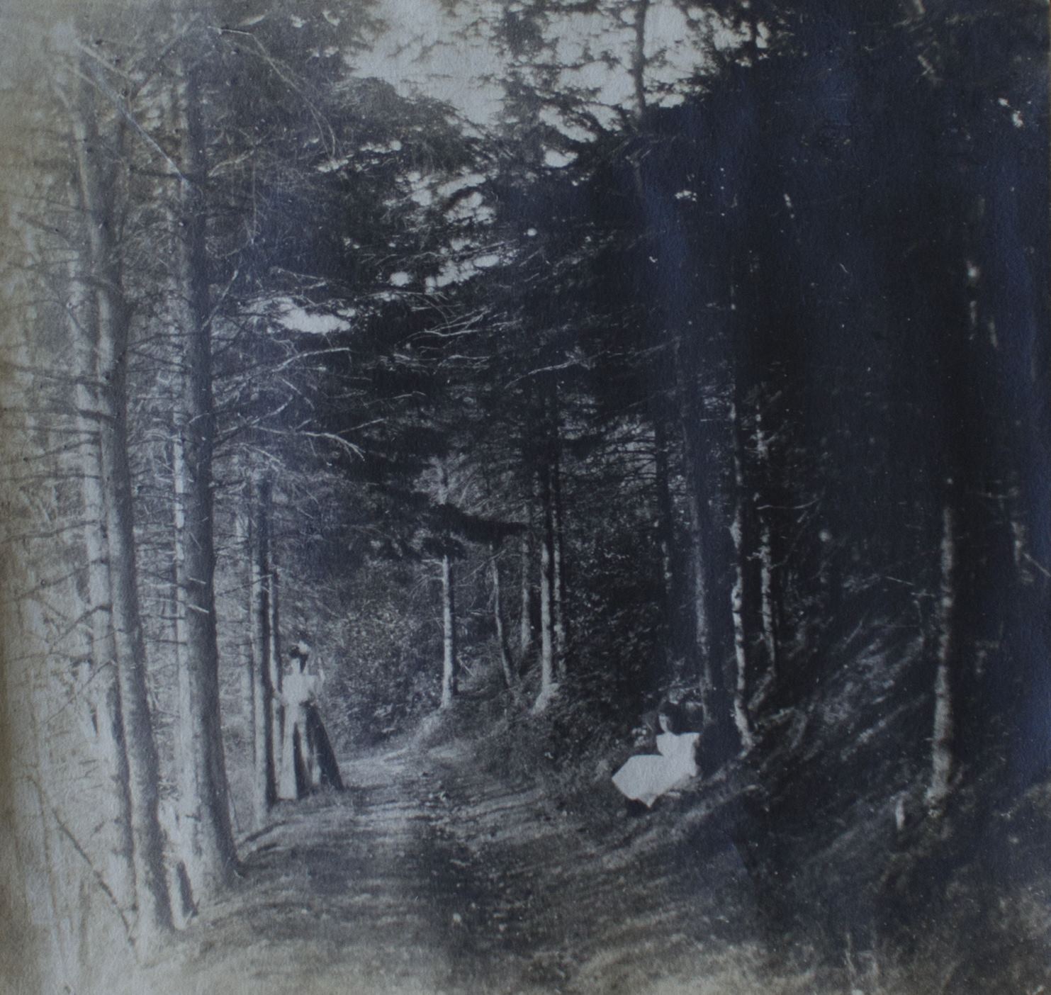 An old photo showing a young woman and a girl on a trail deep in a forest.