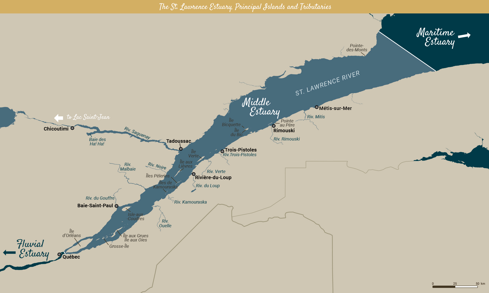 Geographic map of the St. Lawrence Estuary (the Fluvial, Upper and Lower Estuary), its tributaries and main islands.