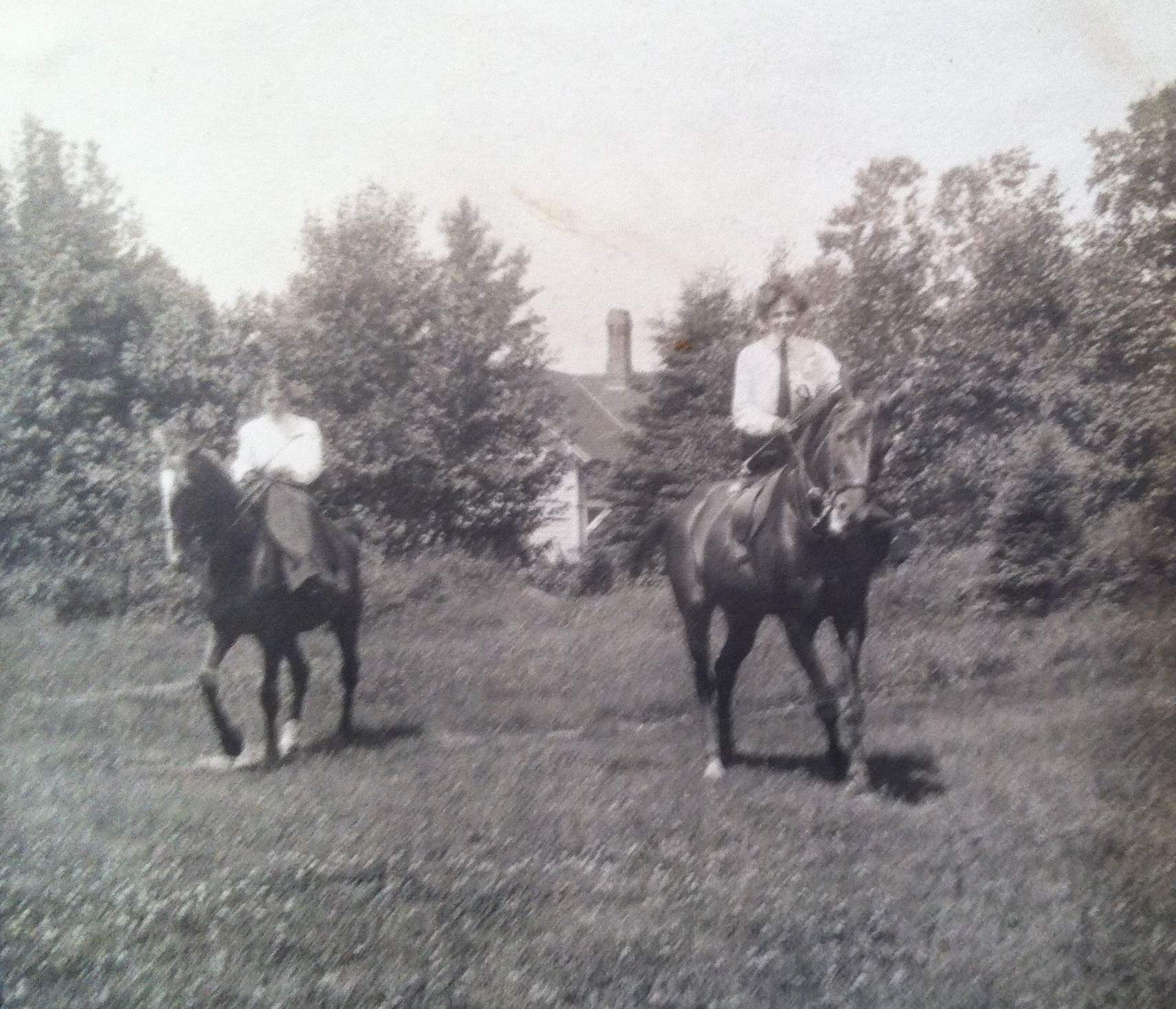 Two riders on horseback in a field bordered by trees.