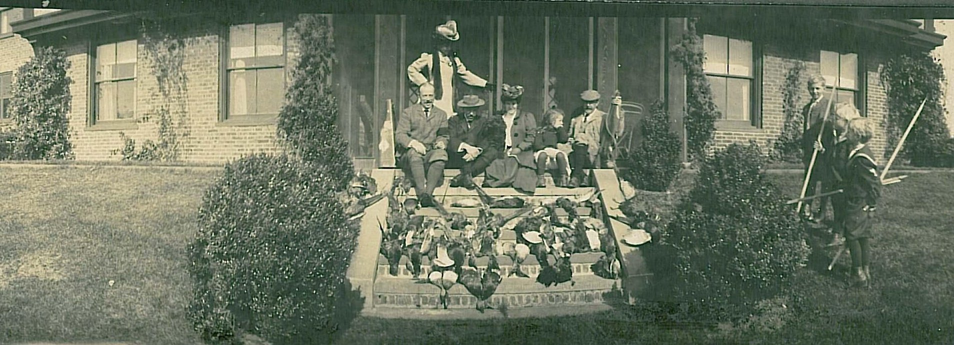 Photographie panoramique : de nombreux canards tués sont disposés dans les marches d’un escalier extérieur.