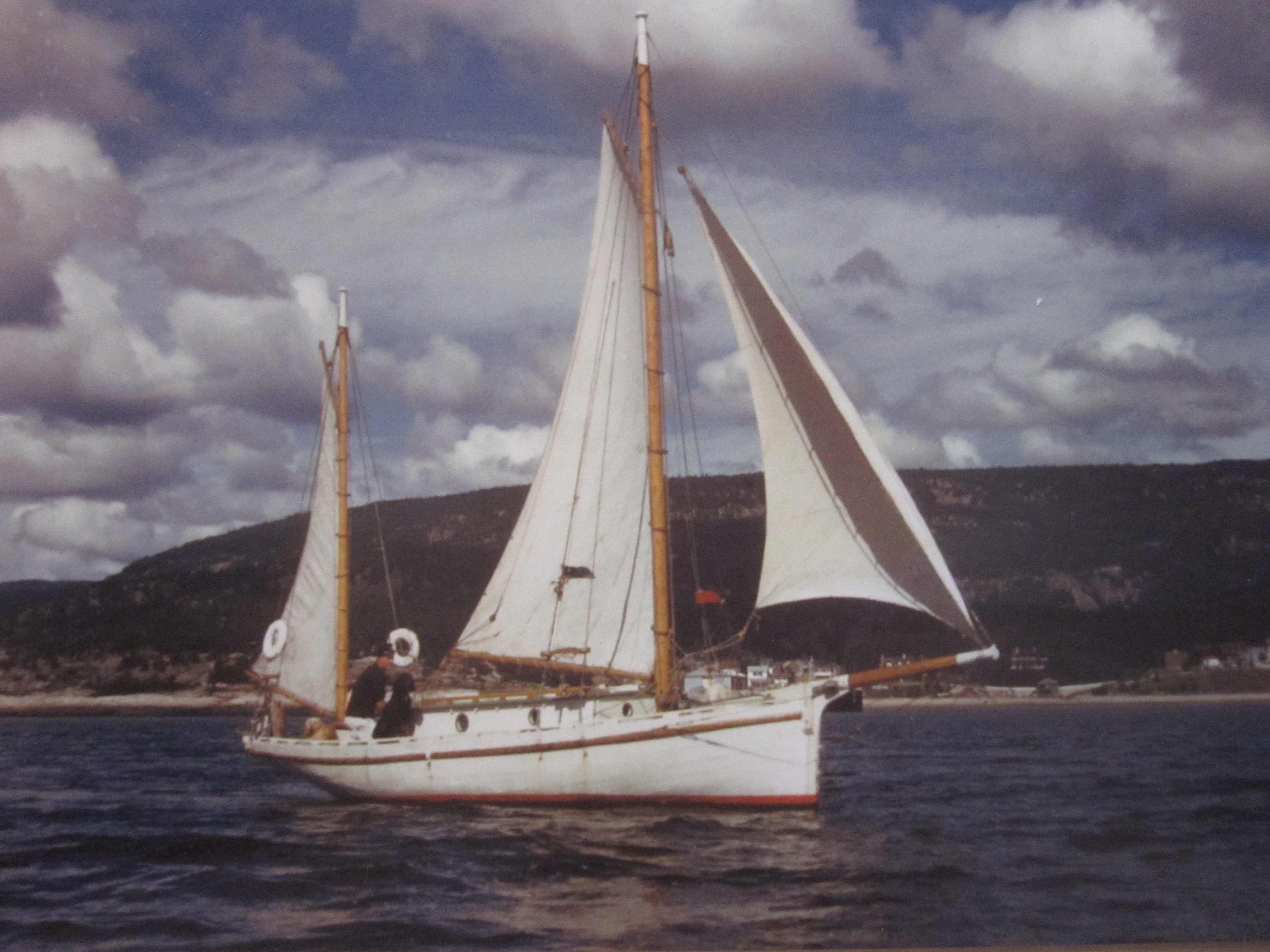 A photograph of a sailboat in a bay, with its captain and a dog.