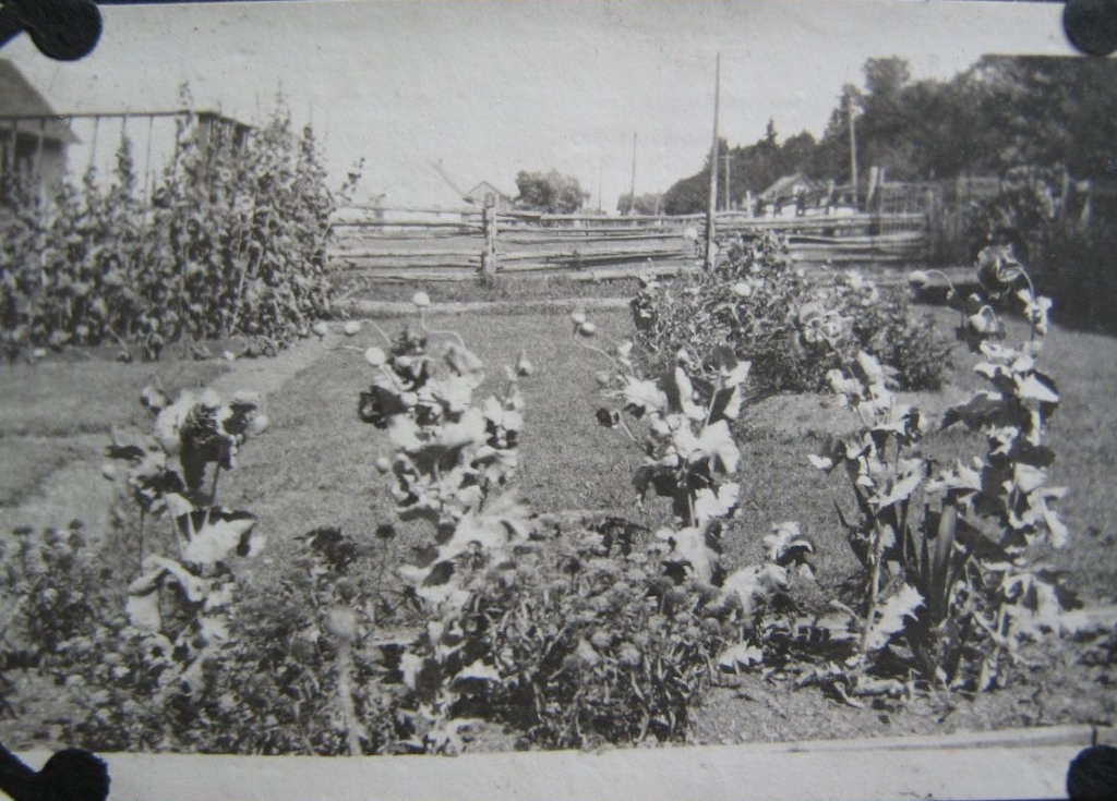 A fenced lawn is made all the more pleasant with a few floating flowerbeds.