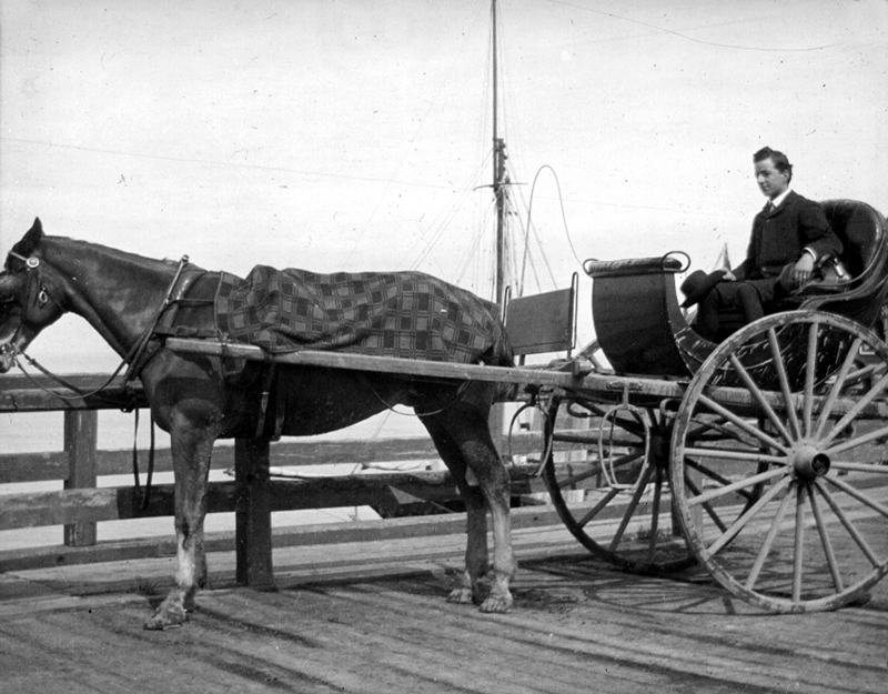 Un jeune homme dans une voiture tirée par un cheval.