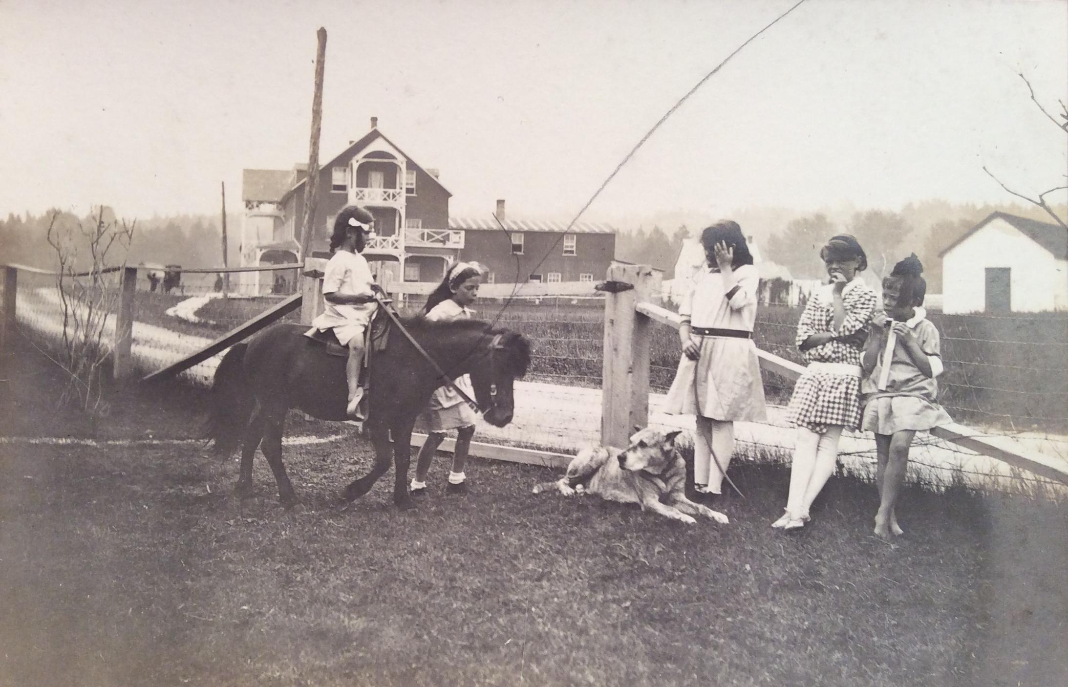 A girl, about 10 years old, managing a pony ride. Other girls wait their turn.