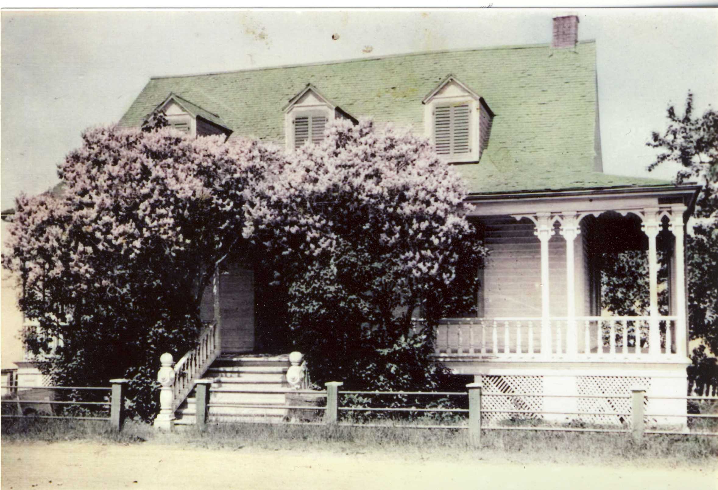 A black-and-white photograph touched up with colour shows an old house partly hidden by lilac trees.