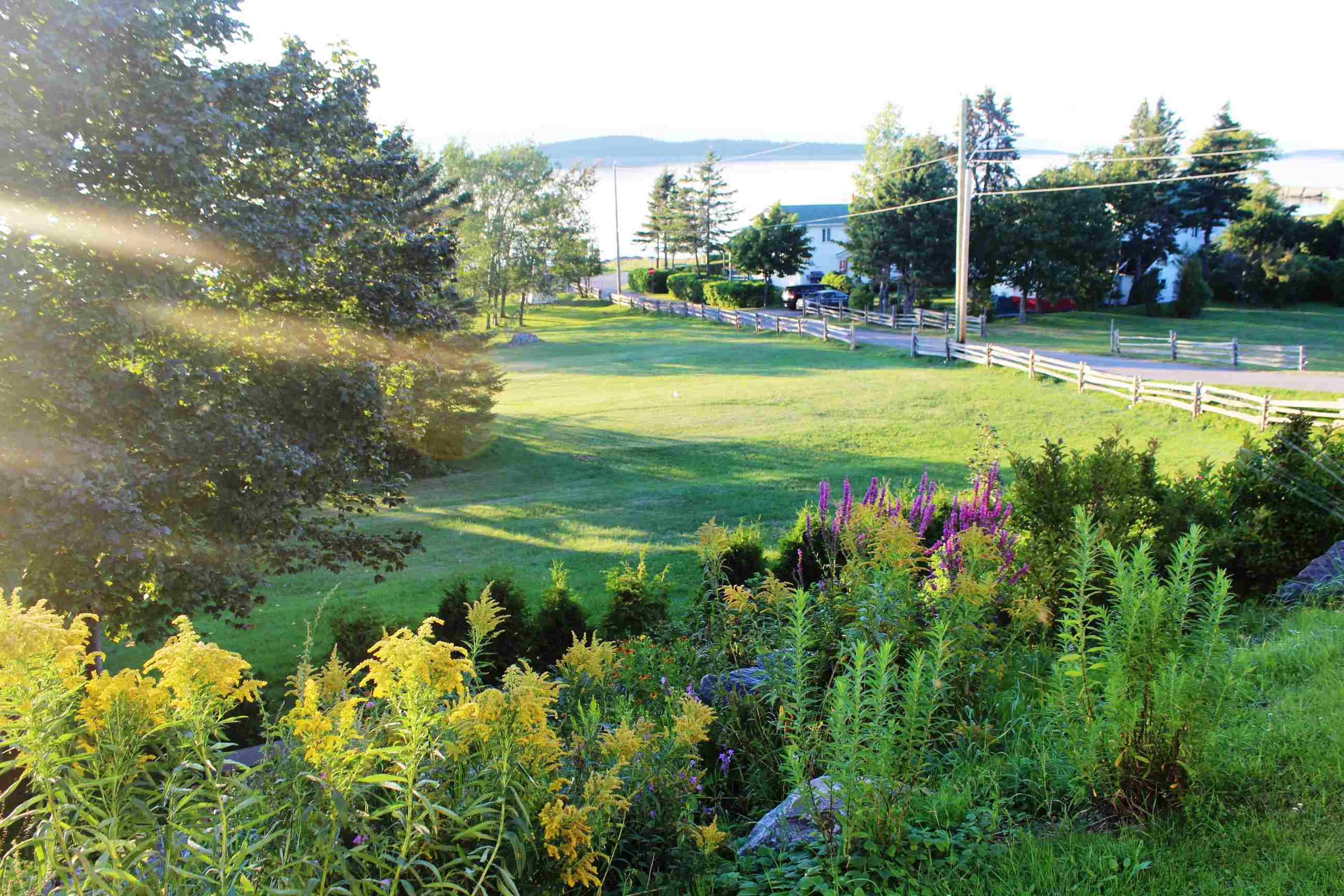 A colour photograph of flower beds and a wide lawn descending to the river.