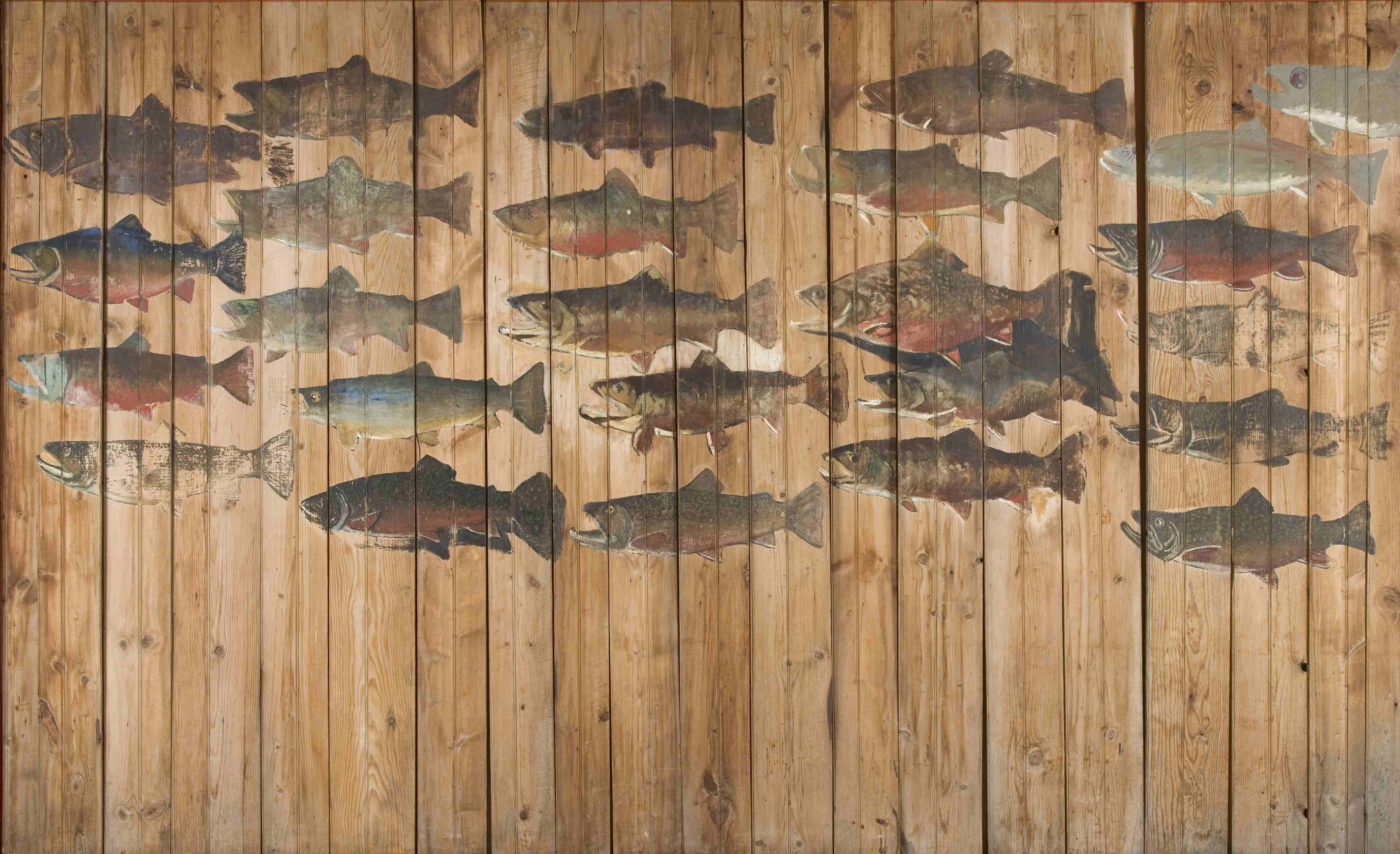 Painting of two dozen trout on vertical wallboards.