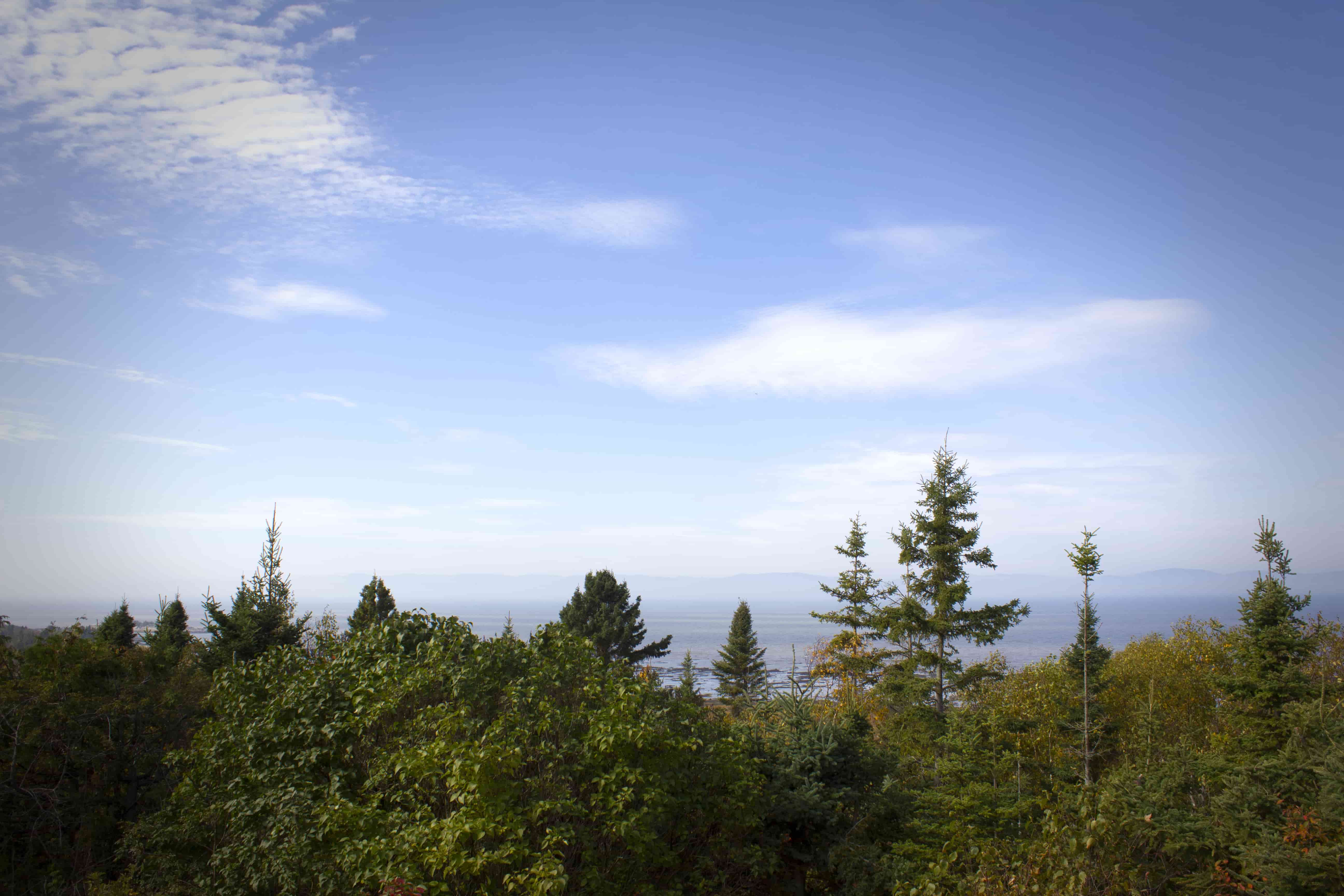 Vue plongeante sur une forêt, le fleuve et, sur l’autre rive, une chaîne de montagnes.