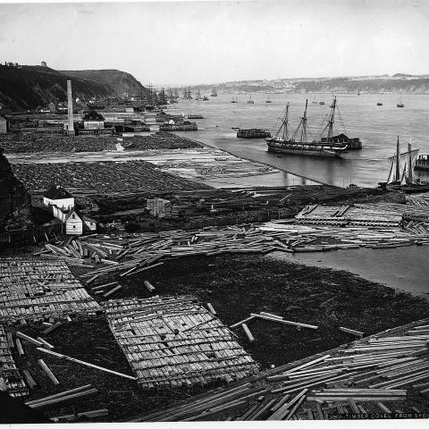 Logs pilled on the shore ; sailing boats in background.