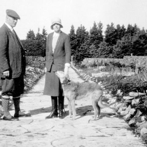 A man and a woman with a dog stand on the wide walkway of a large garden.