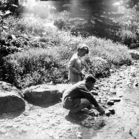 Two children play in a stream in a leafy wood.