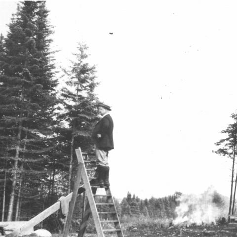 A man climbing a stepladder in the middle of a cleared lot, with branches burning in the background.