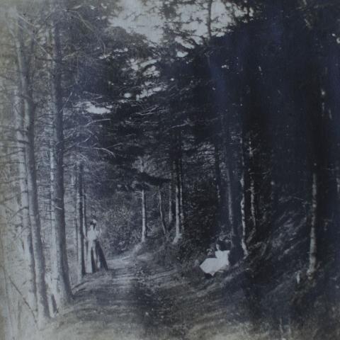 An old photo showing a young woman and a girl on a trail deep in a forest.
