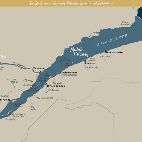 Geographic map of the St. Lawrence Estuary (the Fluvial, Upper and Lower Estuary), its tributaries and main islands.