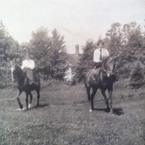 Two riders on horseback in a field bordered by trees.
