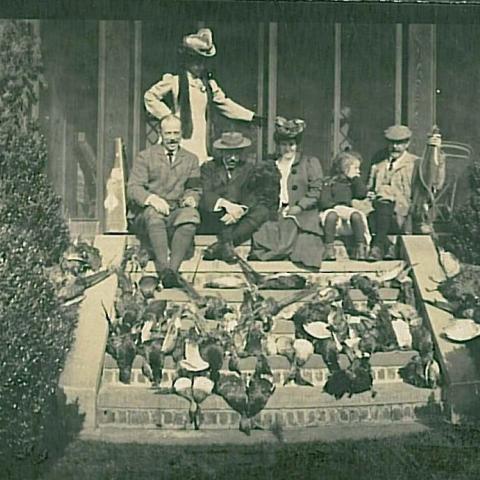 Panoramic photograph of many dead ducks displayed on steps.