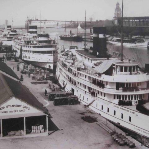 A photograph of large cruise steamers in port, with a bridge under construction in the background.