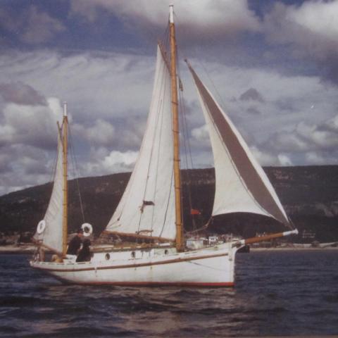 A photograph of a sailboat in a bay, with its captain and a dog.