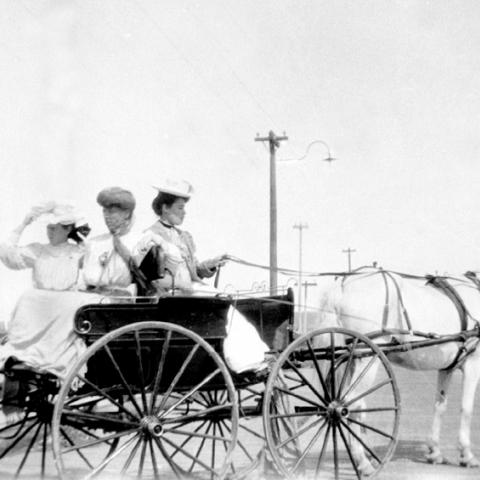 Three ladies in a buggy on the wharf.