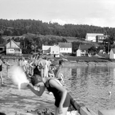 Des gens profitent de l’eau à partir d’un grand quai, en milieu rural.