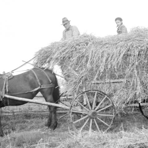 A man and a small boy sitting on a horse-drawn wagon piled with hay.