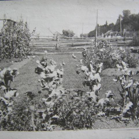 A fenced lawn is made all the more pleasant with a few floating flowerbeds.