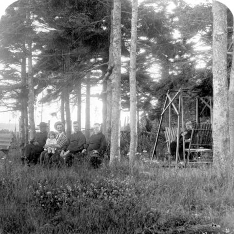 People sitting in a wooded rest area.
