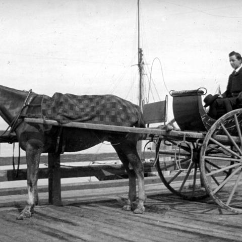 A young man in a horse-drawn carriage.