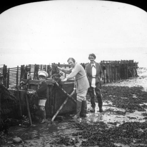 Two women and a small boy looking at the contents of a weir fishery.