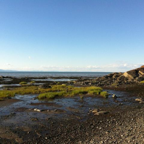 Natural landscape:Amarshy beach lined with rocks, the St. Lawrence and, on the other side, the mountains of Charlevoix.