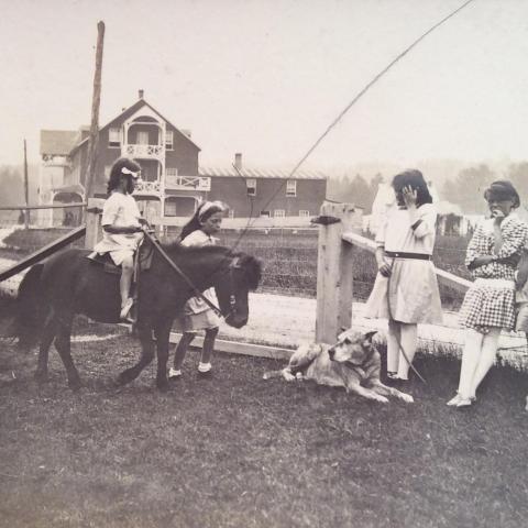 Une fille d’une dizaine d’années anime une balade en poney. D’autres jeunes filles attendent leur tour.