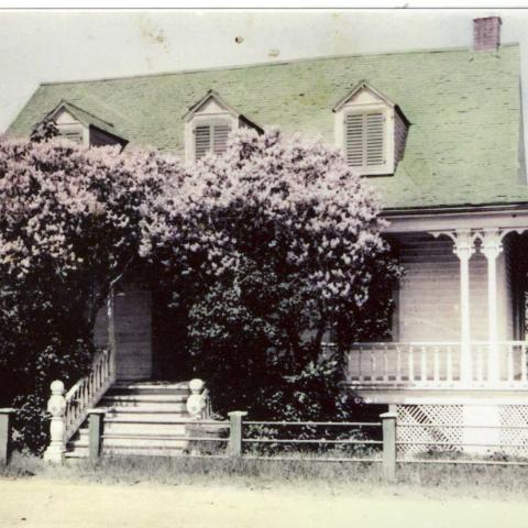 Photographie noir et blanc avec des retouches de couleur, présentant une maison ancienne partiellement cachée par des lilas.