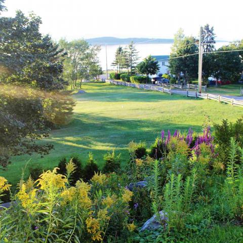 A colour photograph of flower beds and a wide lawn descending to the river.