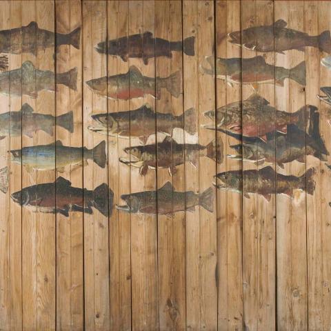 Painting of two dozen trout on vertical wallboards.