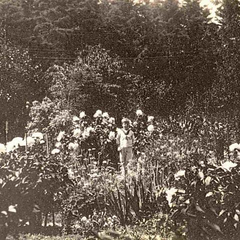 A child wearing a sailor suit in an English-style flower garden.