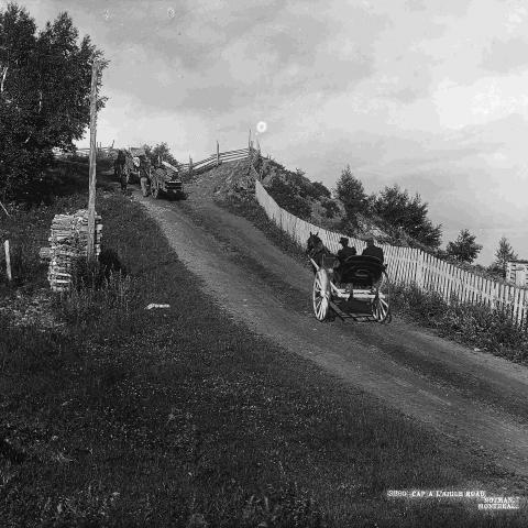 Trois voitures à chevaux grimpent une côte sur une route rurale, bordée par une clôture, à droite.