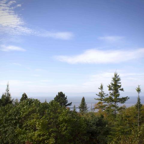 View of a forest, the river and, on the other shore, a chain of mountains.